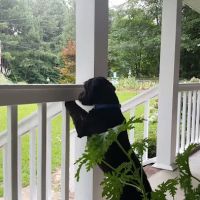 Sinco Company LLC ico