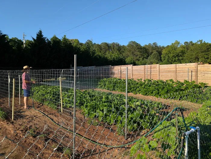 A-OK Heating & Cooling Picture 5