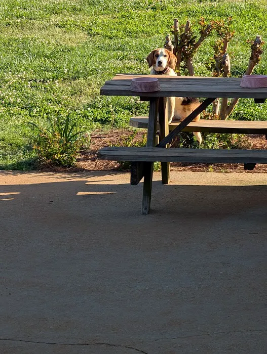 A-OK Heating & Cooling Picture 6