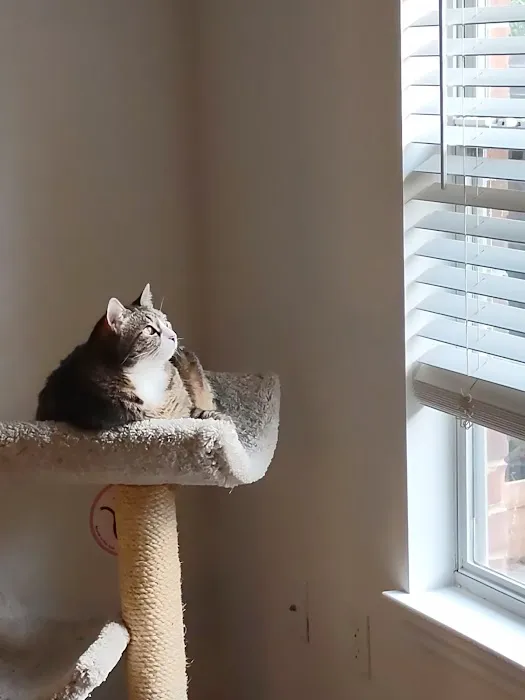 Thomas Garage Picture 9