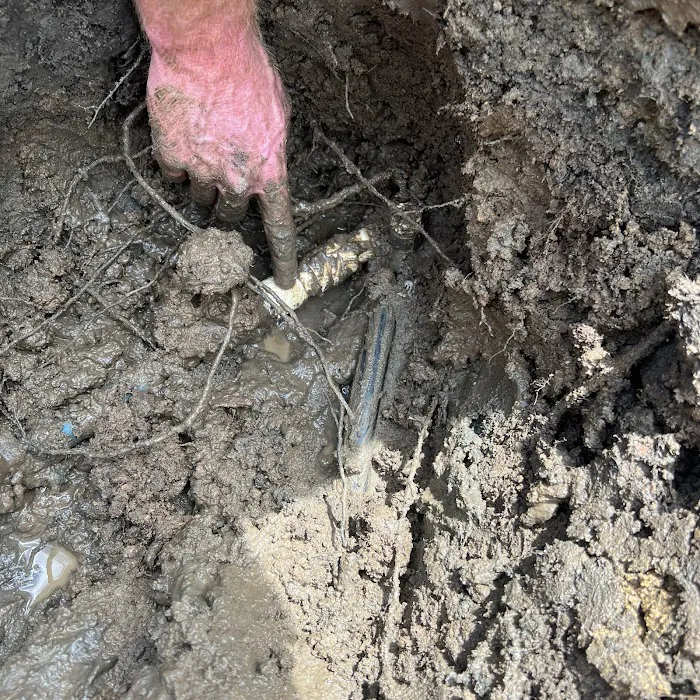 All Clear Plumbing & Air Picture 5