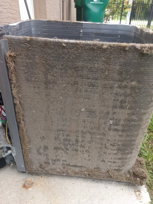 South Gulf Air Picture 5