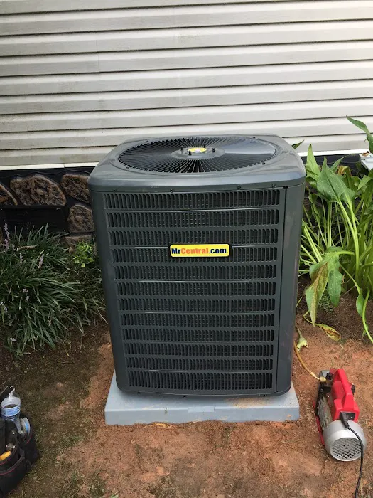 Mr. Central Picture 2