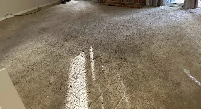 JL REPAIRS, LLC Picture 3