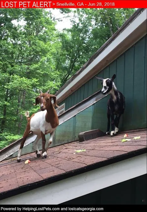 GHC Mechanical Services, Inc. Picture 7