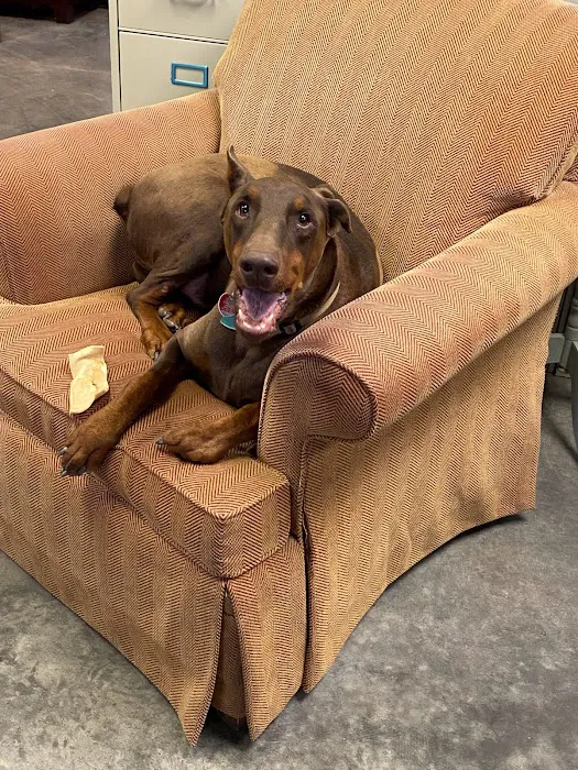 Duraclean Solutions Picture 2