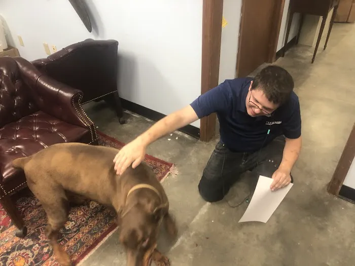 Duraclean Solutions Picture 8