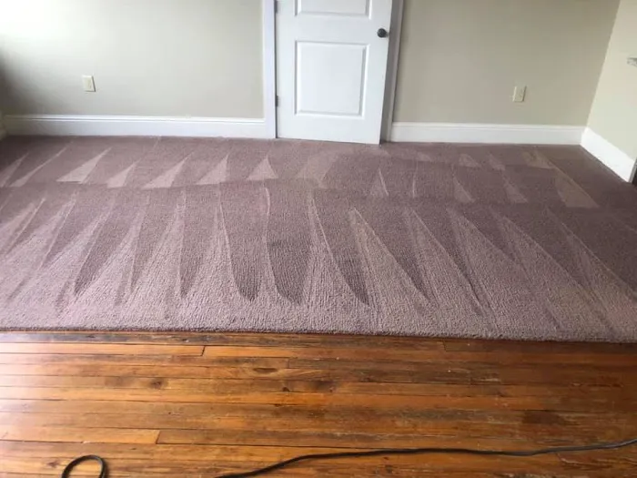 Duraclean Solutions Picture 10