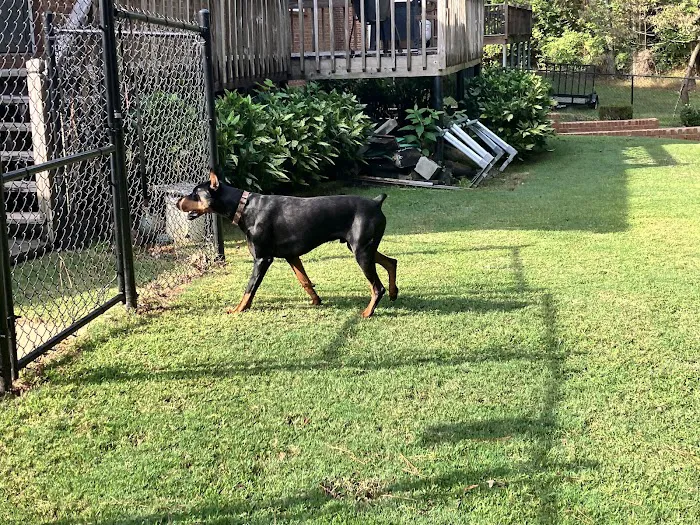 All American Services of Georgia Picture 2