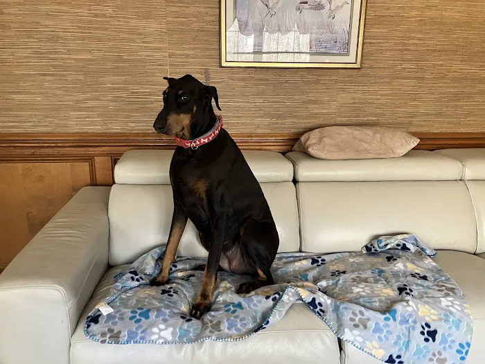 All American Services of Georgia Picture 3