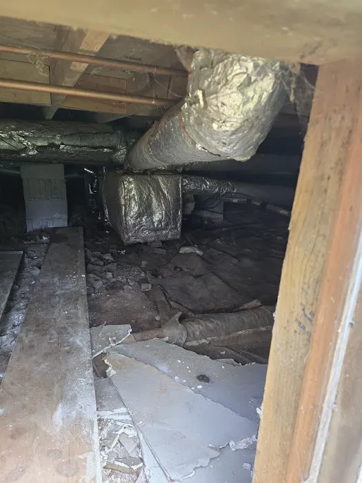 All American Services of Georgia Picture 4