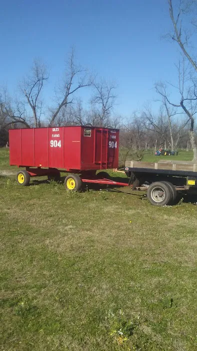 PAYTON'S UNLIMITED MAINTENANCE LLC. Picture 2