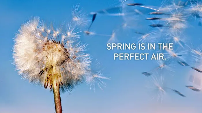 Powers Heating & Air Picture 1