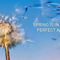 Powers Heating & Air ico