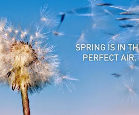 Powers Heating & Air