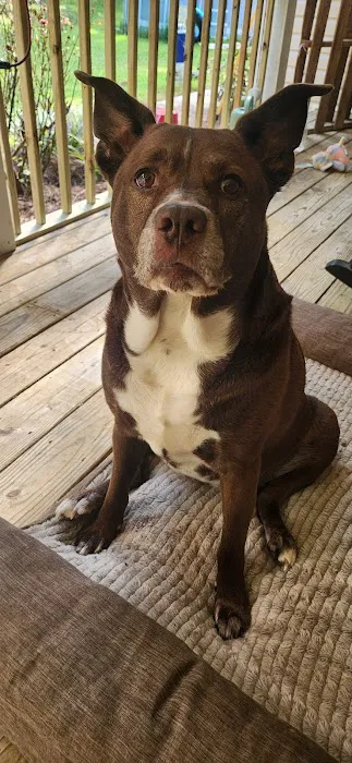 Jenkins Heating & Cooling Picture 5