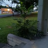 Jackson's Refrigeration LLC ico