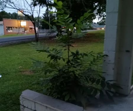 Jackson's Refrigeration LLC