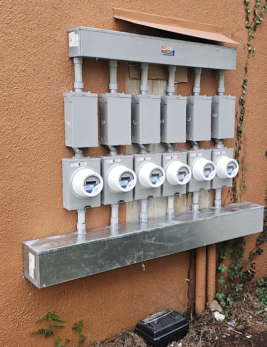 Selectricity Picture 4