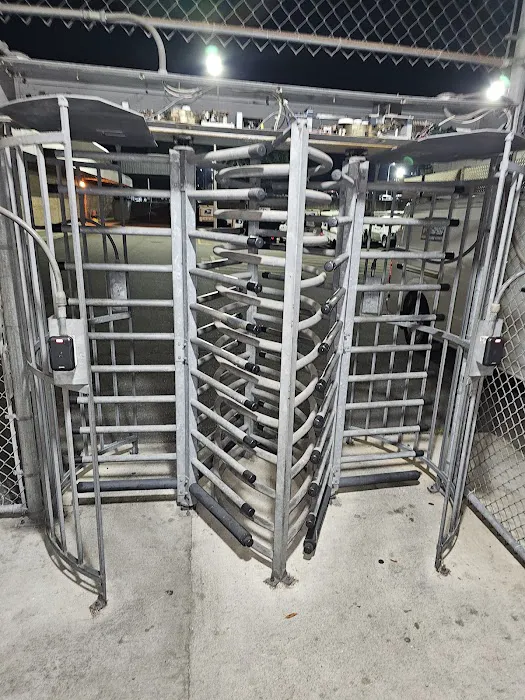 Selectricity Picture 9