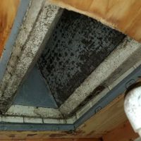 Air & Energy of NWFL ico