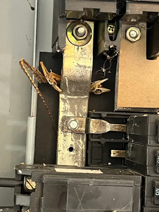 Lana's Air Service Picture 5