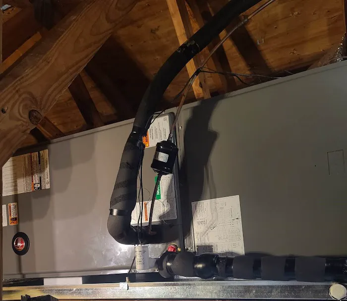 Blue Wave Air Picture 4