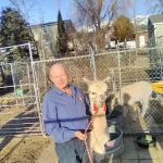 Graham Heating & Air Conditioning