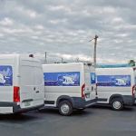 Polar Bear Cooling & Heating