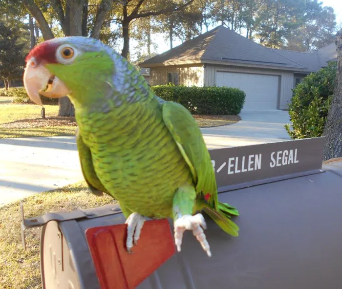 Gochnauer Air Conditioning & Heating Picture 1