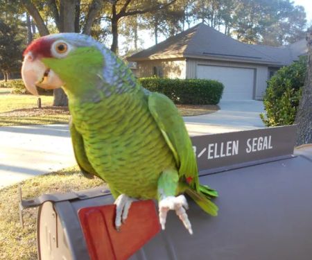 Gochnauer Air Conditioning & Heating