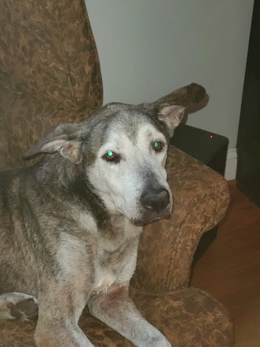 Stiles Heating, Cooling, and Plumbing Picture 10