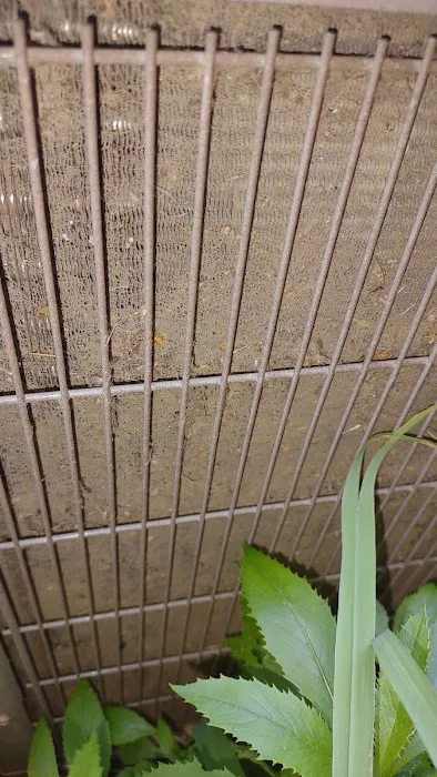 Southern Comfort Air Services Picture 1