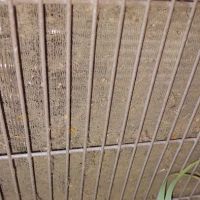 Southern Comfort Air Services ico