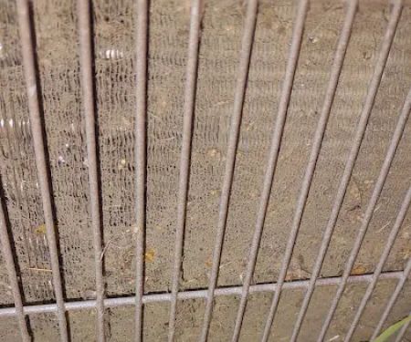 Southern Comfort Air Services