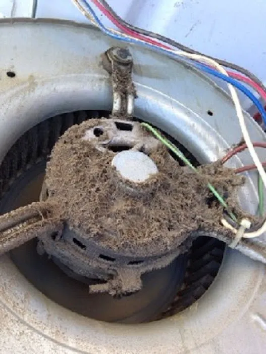 One Call Heating and Cooling Picture 4