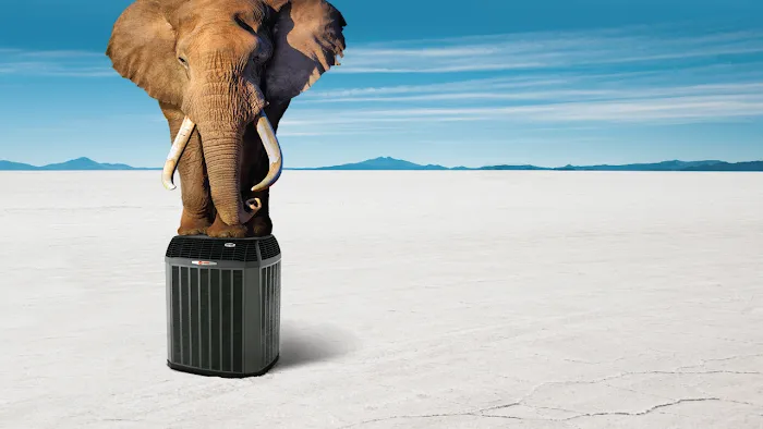 Reliable Heating & Air, Plumbing and Electrical - Fayetteville Picture 6