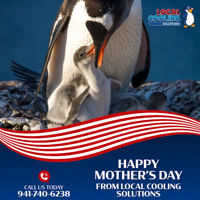 Local Cooling Solutions Picture 8