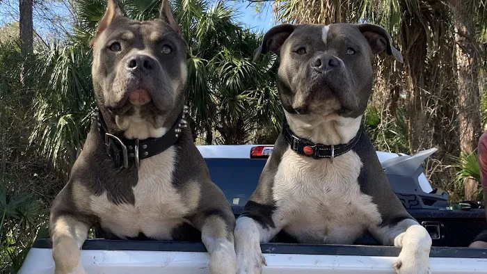 A-C Services Inc. Picture 6