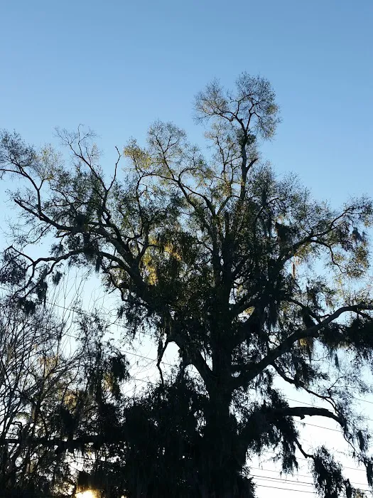 Keith's House Of Plumbing Picture 7