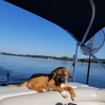 Quality Plus Heating & AC