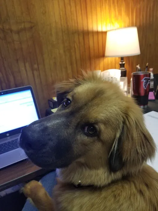 Quality Plus Heating & AC Picture 8