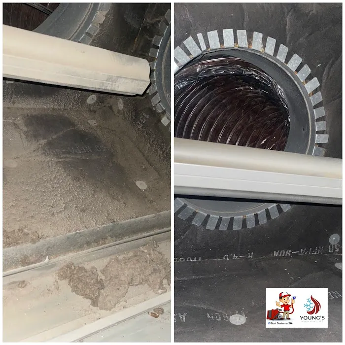 Young's Mechanical Heating and Cooling Picture 9