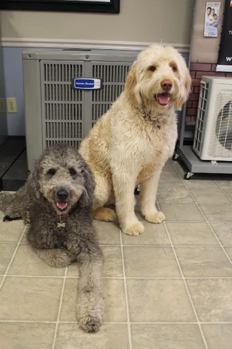 Stanfield Air Systems Picture 6