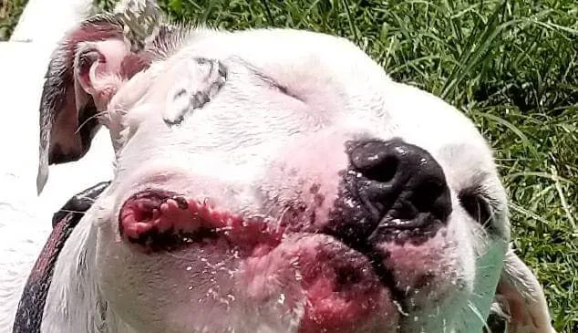 Kovack Mechanical, Inc. Picture 2