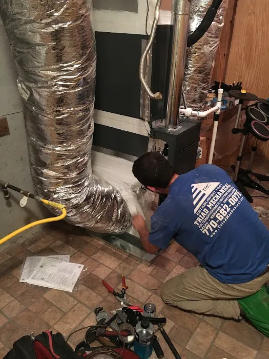 Triad Mechanical Picture 10