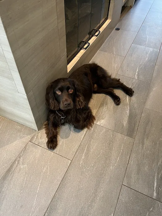 Zack Hammonds A/C Heating Refrigeration Inc. Picture 10