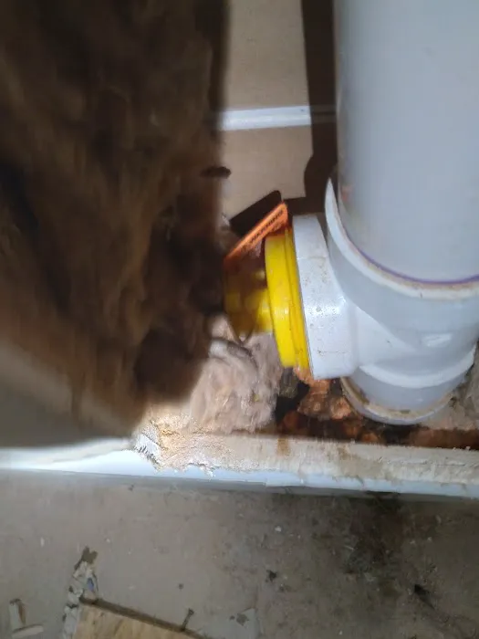 All Atlanta Services Picture 7