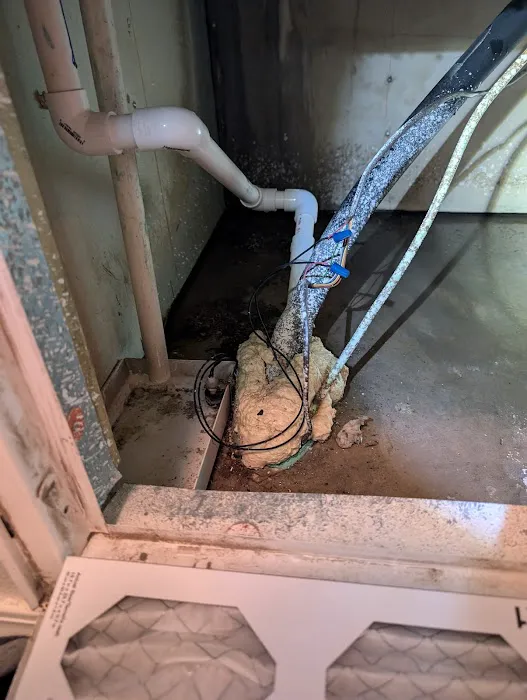 Service Air Eastern Shore Picture 6