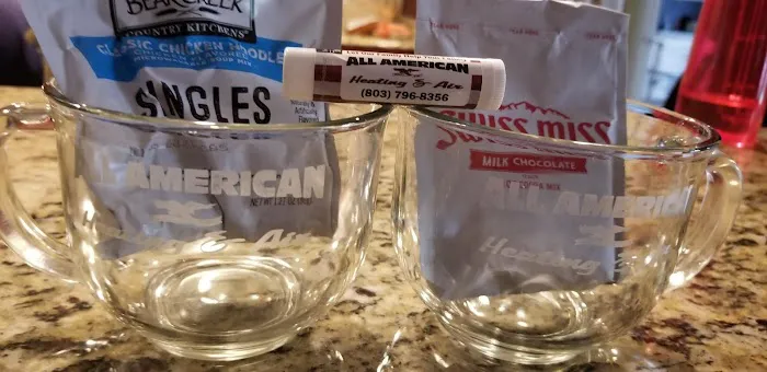 All American Heating & Air Picture 9